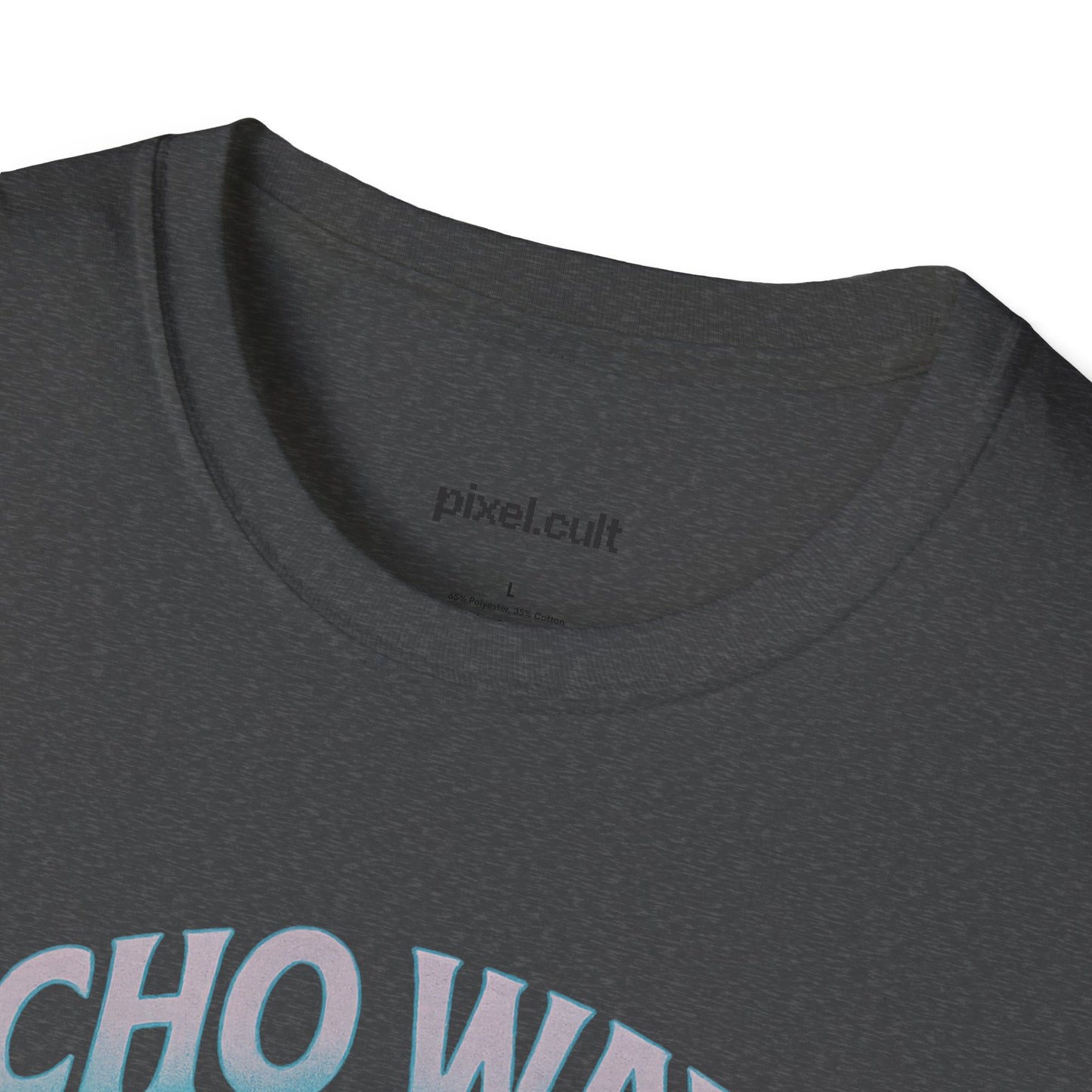 Echo Wave Dolphin Tour 2025 Unisex Softstyle T-Shirt