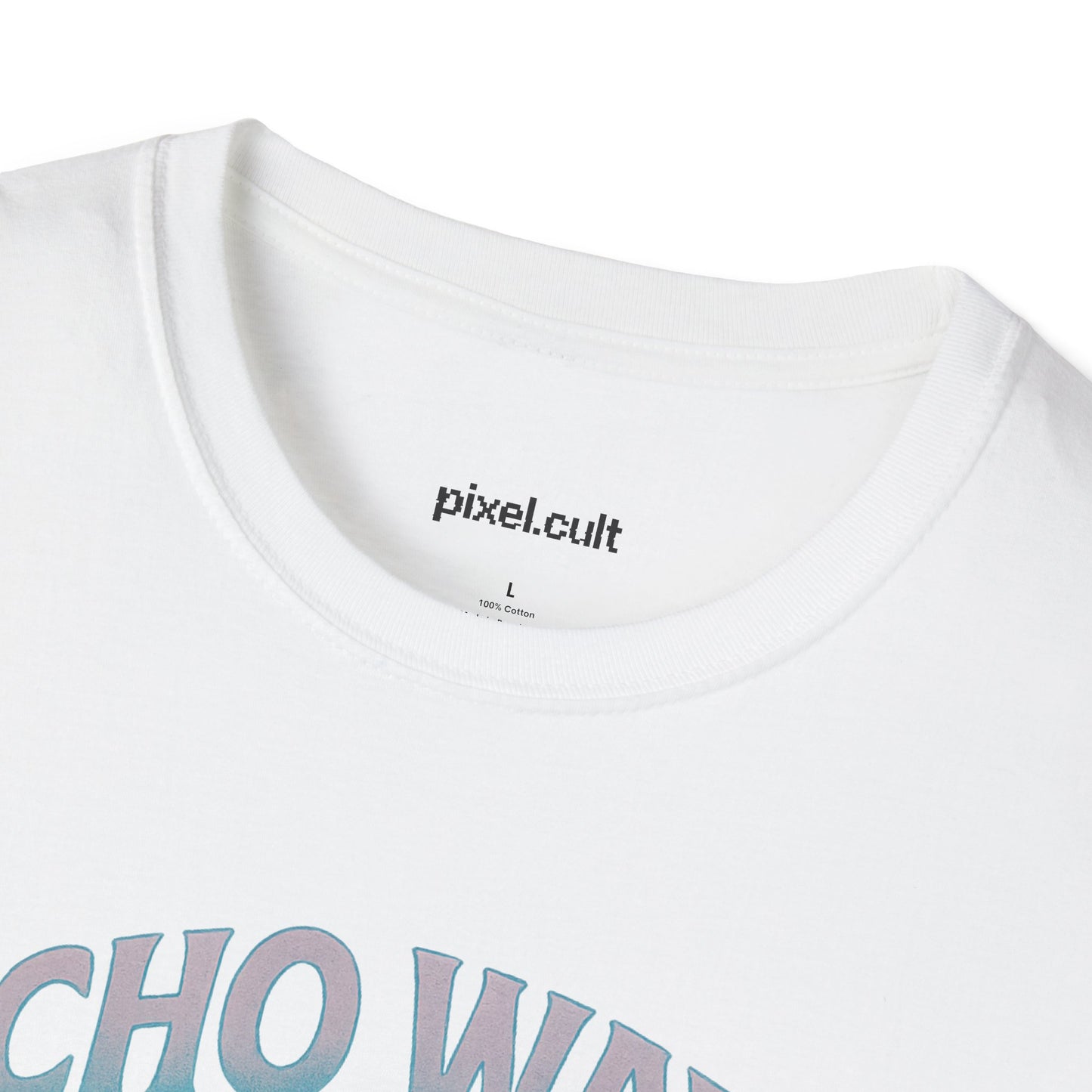 Echo Wave Dolphin Tour 2025 Unisex Softstyle T-Shirt