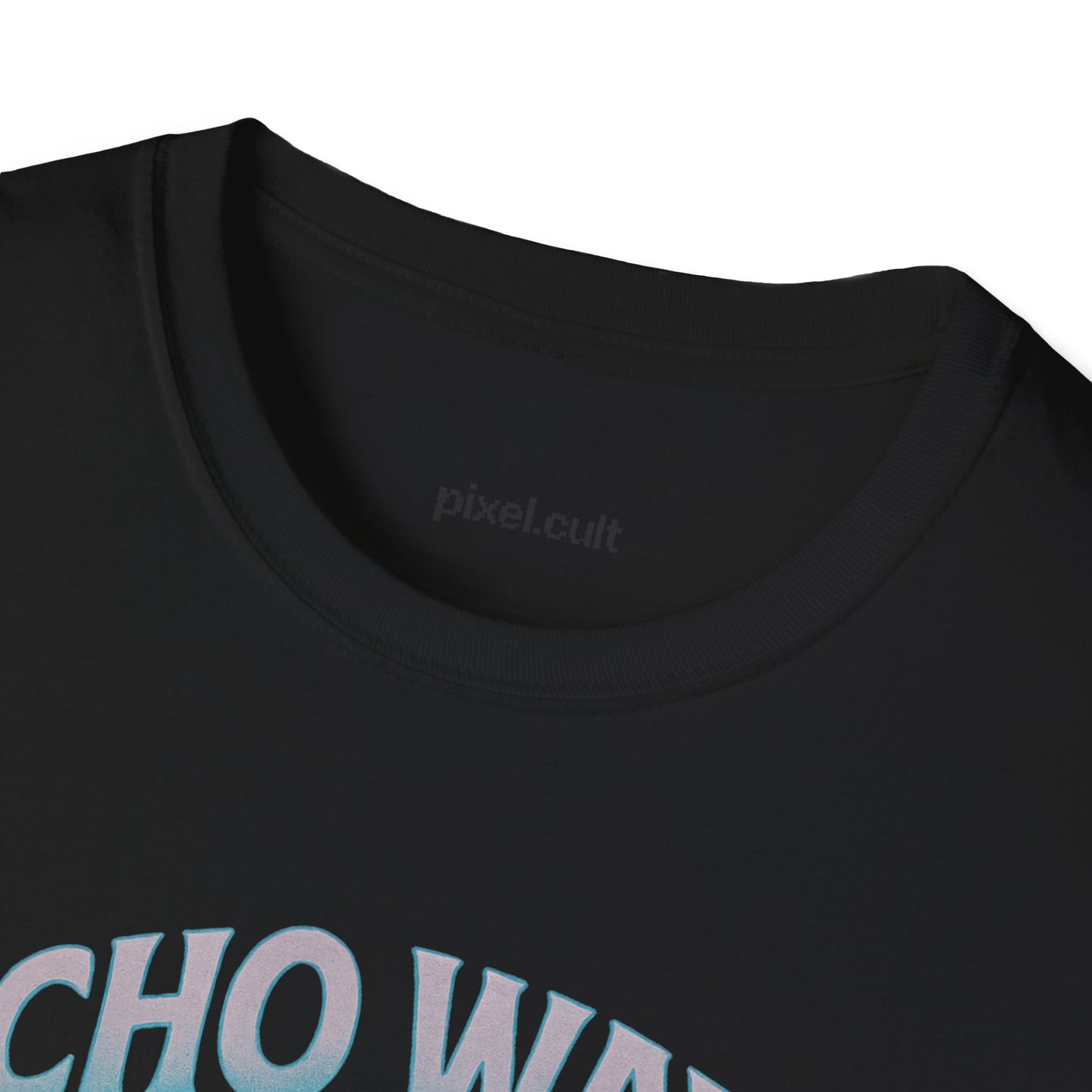 Echo Wave Dolphin Tour 2025 Unisex Softstyle T-Shirt